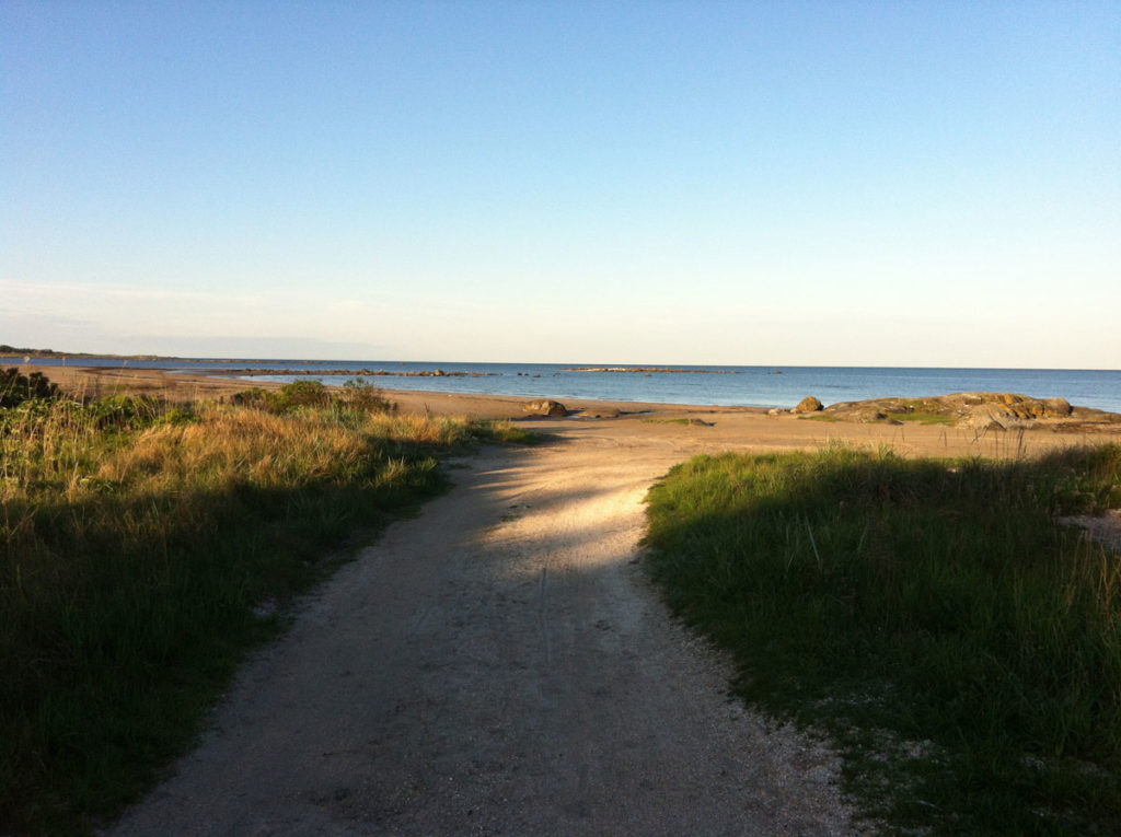 Exercise trails