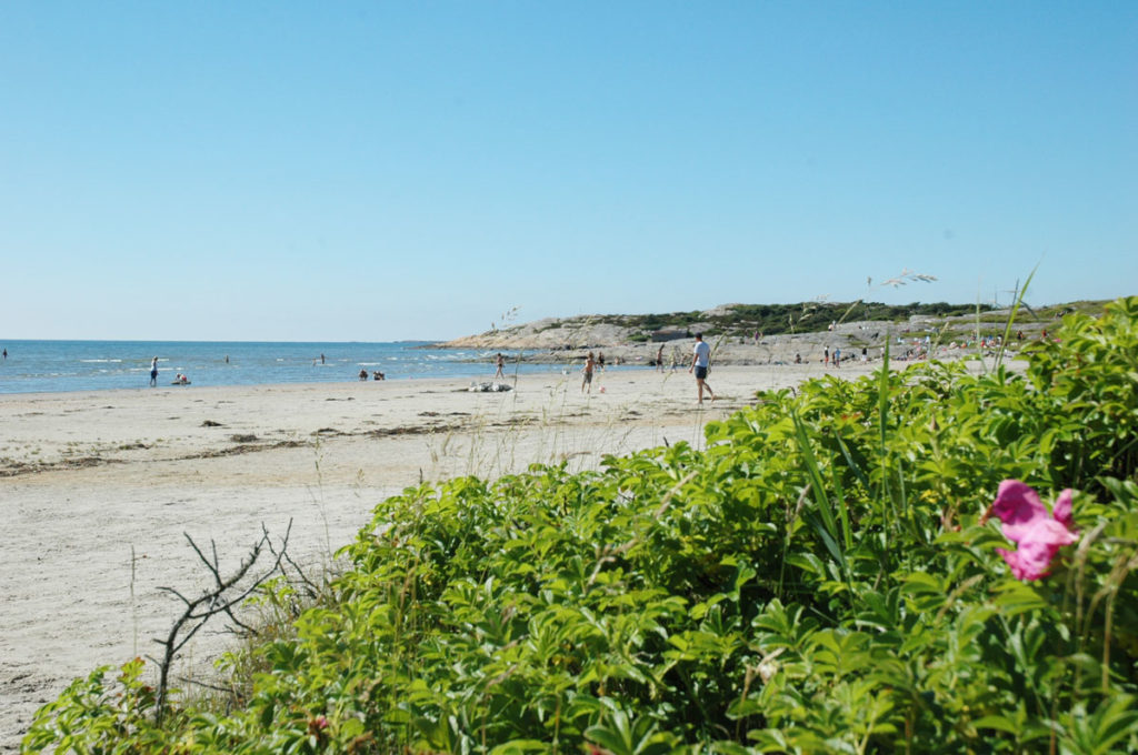 The Beach