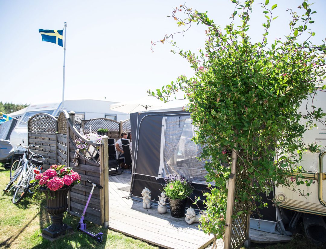 Campsite